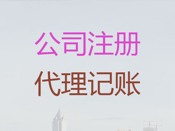 海口公司代理记账服务|有限公司记账/做账代理